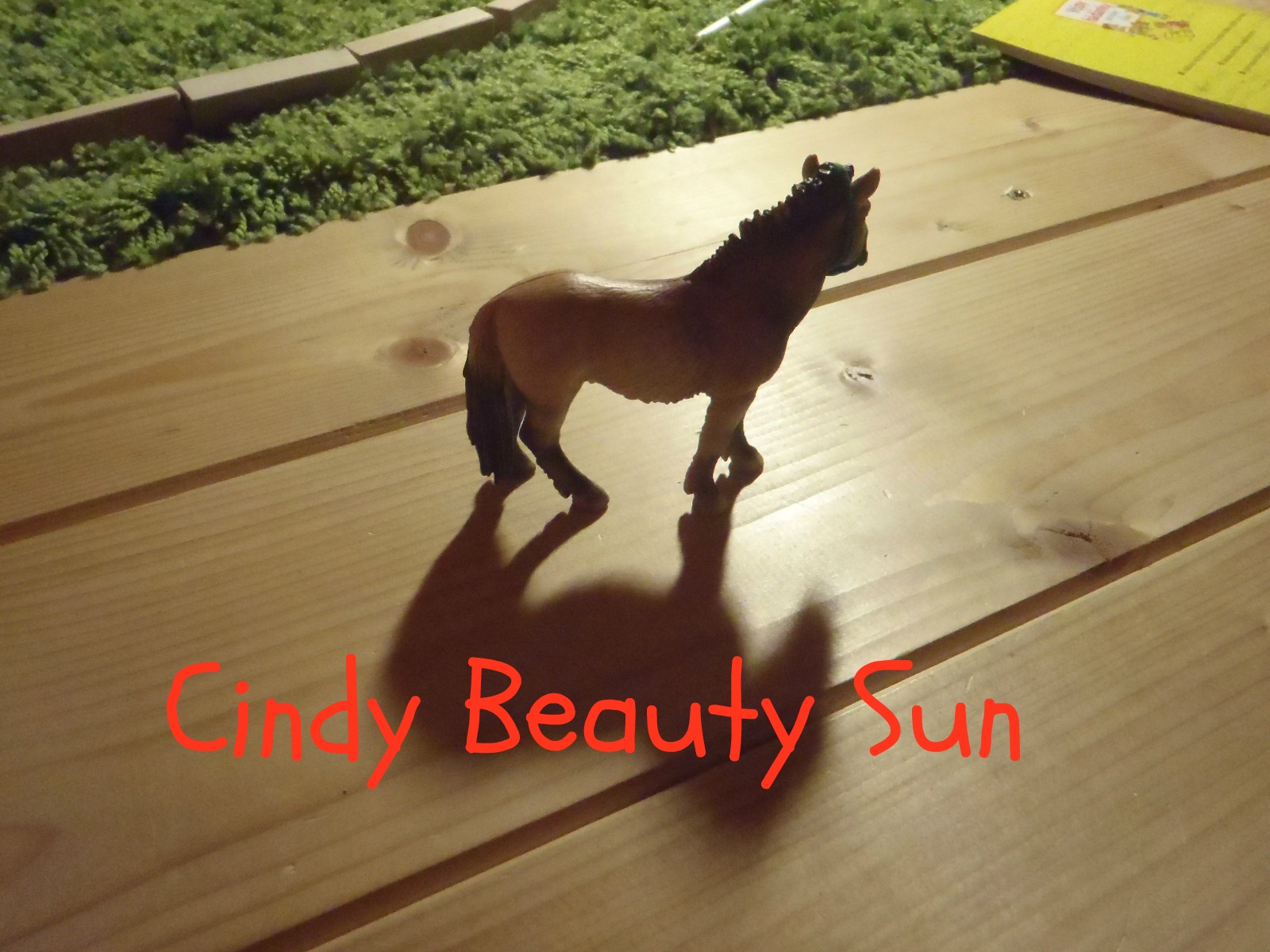 Cindy Beauty Sun