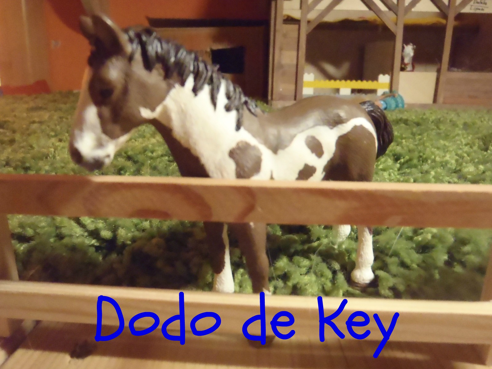 Dodo de Key