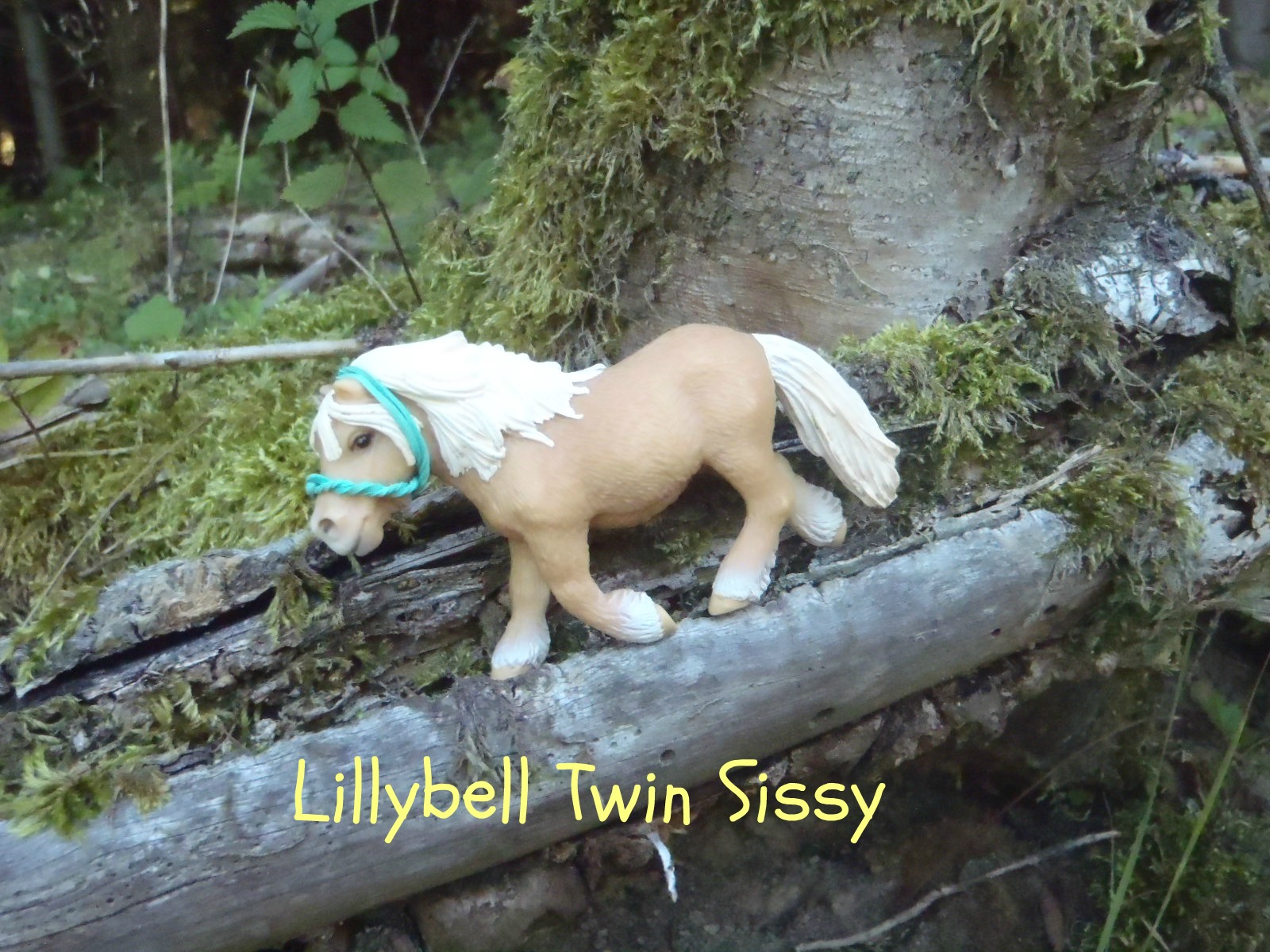 Lillybell Twin Sissy